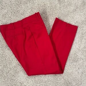 Talbots Bright Pink Ankle Pants